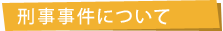 刑事事件について
