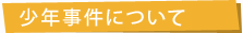少年について